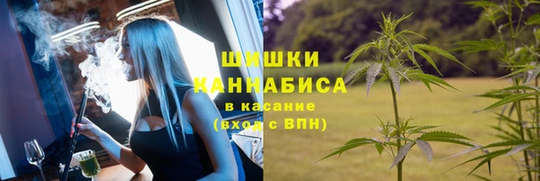 ПСИЛОЦИБИНОВЫЕ ГРИБЫ Богородицк