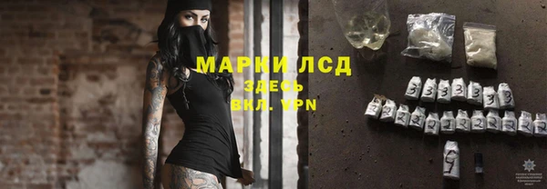 тгк Бородино