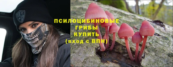ПСИЛОЦИБИНОВЫЕ ГРИБЫ Богородицк