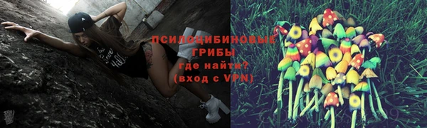 mdpv Белокуриха