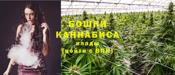 mdpv Белокуриха