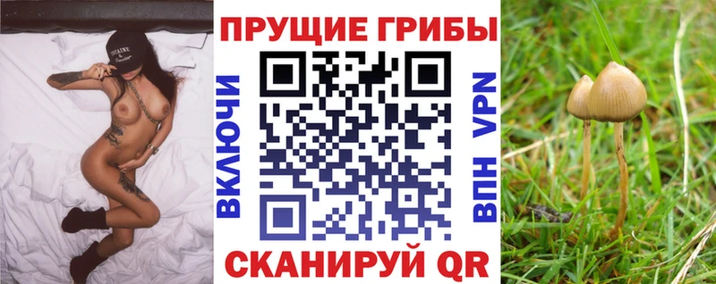 как найти закладки  Барабинск  мориарти Telegram  Галлюциногенные грибы прущие грибы 
